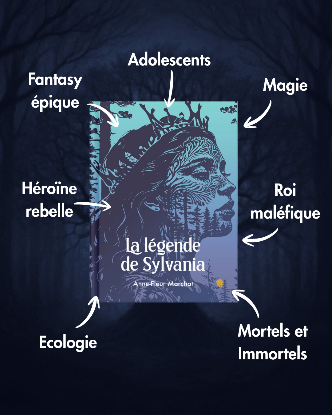 Thèmes La Légende de Sylvania